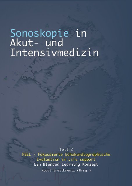 Sonoskopie in Akut- u. Intensivmedizin - Teil 2: Fokussierte Notfallechokardiographie (FEEL-Konzept)